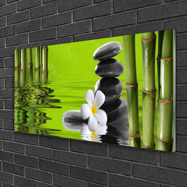 Quadro in vetro Pianta di bambù 100x50 cm 2 appendini