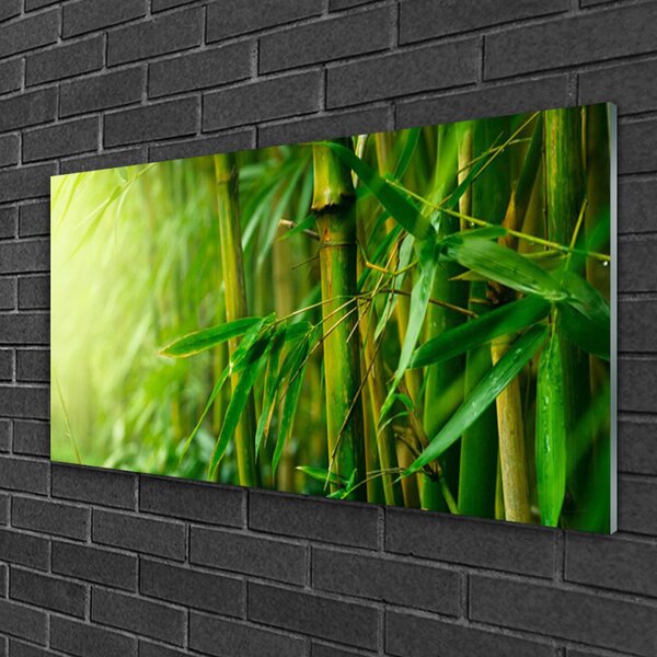 Quadro su vetro Pianta a stelo di bambù 100x50 cm 2 appendini