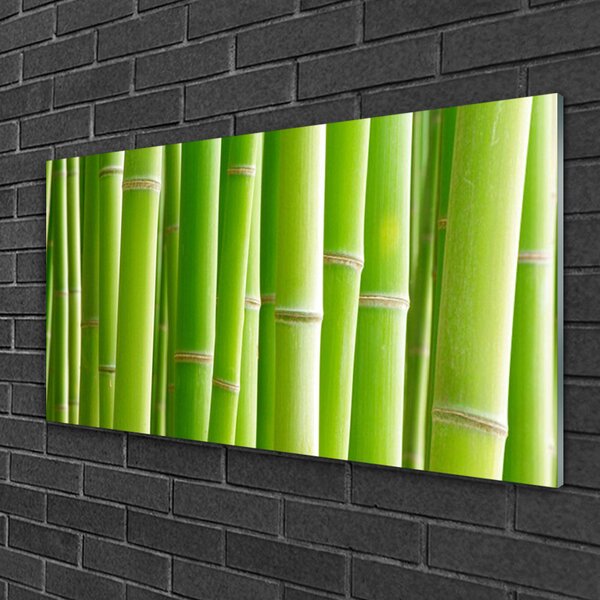 Quadro su vetro Pianta di bambù a stelo fiorito 100x50 cm 2 appendini