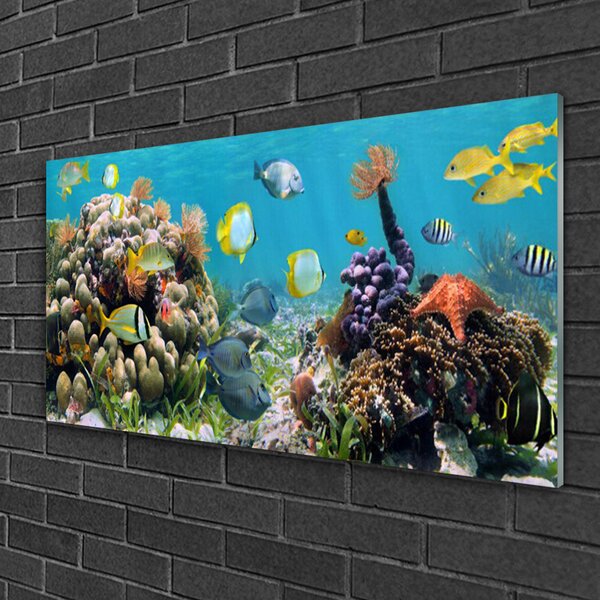 Quadro su vetro Natura della barriera corallina 100x50 cm 2 appendini