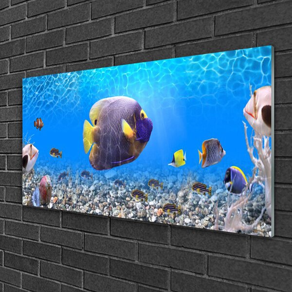 Quadro in vetro Pesce Natura 100x50 cm 2 appendini