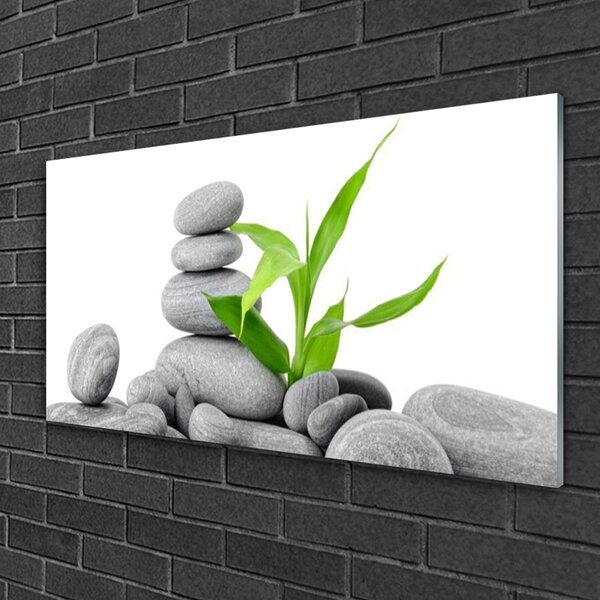 Quadro su vetro Pietre Foglie Arte 100x50 cm 2 appendini