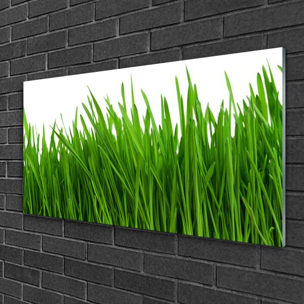 Quadro su vetro Erba Pianta Natura 100x50 cm 2 appendini