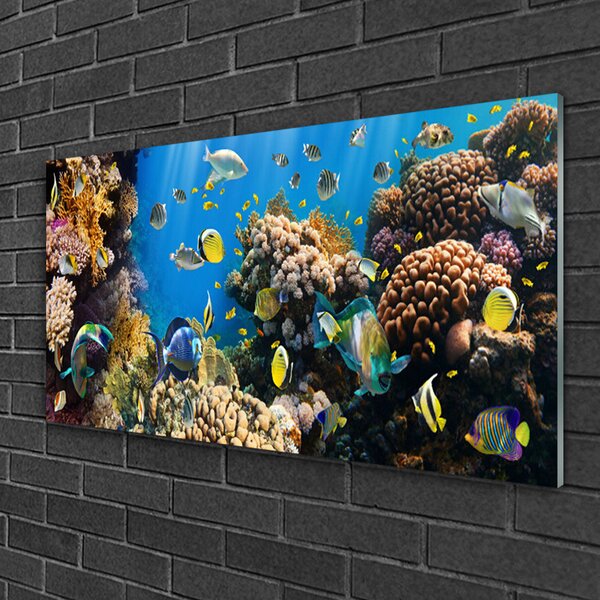 Quadro vetro Natura della barriera corallina 100x50 cm 2 appendini