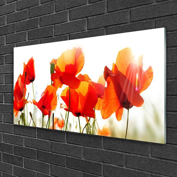 Quadro in vetro Papaveri Pianta Naturale 100x50 cm 2 appendini