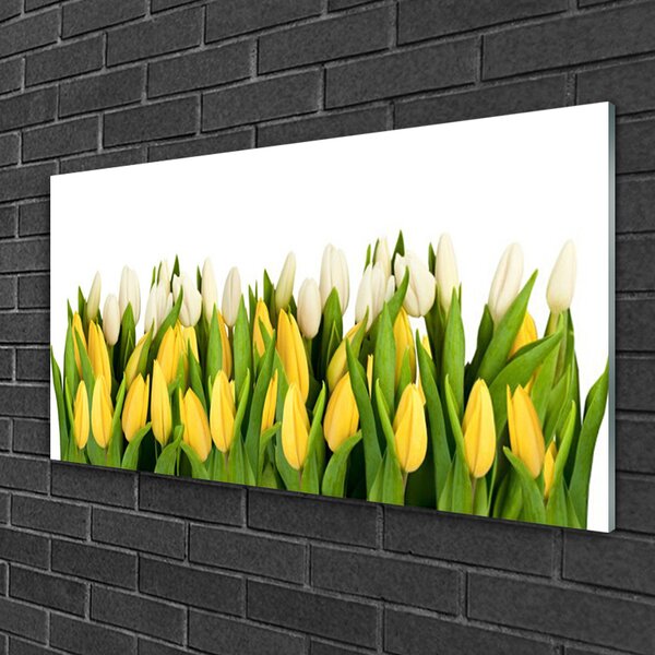 Quadro di vetro Tulipani Fiori Pianta 100x50 cm 2 appendini