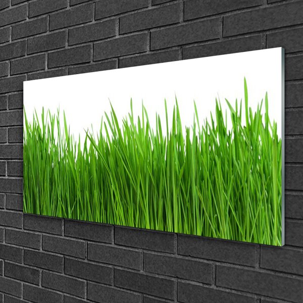 Quadro su vetro Erba Pianta Natura 100x50 cm 2 appendini