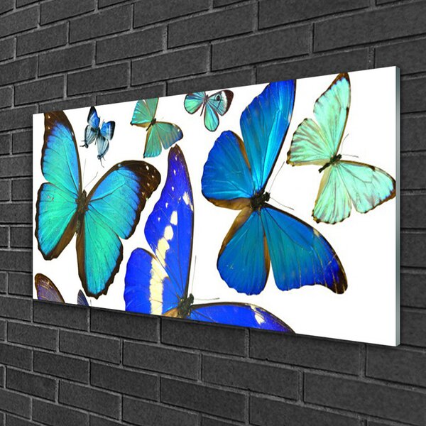Quadro su vetro Farfalle Natura 100x50 cm 2 appendini