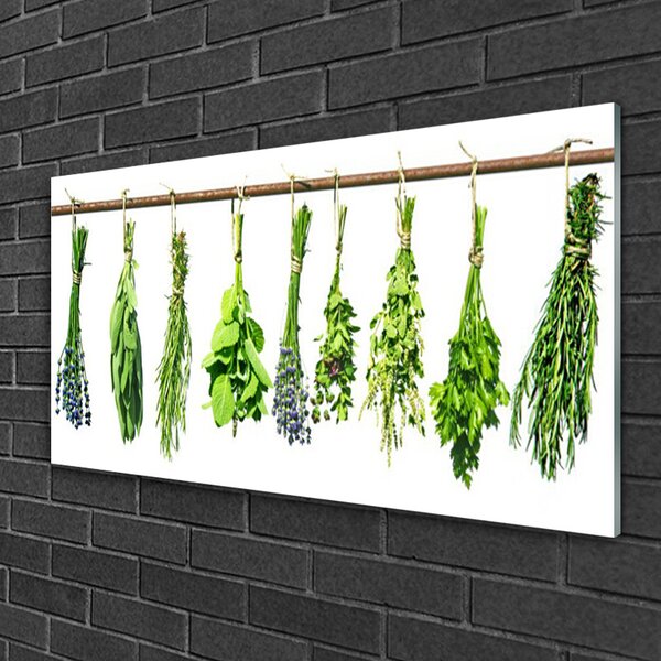 Quadro su vetro Fiori Pianta naturale 100x50 cm 2 appendini