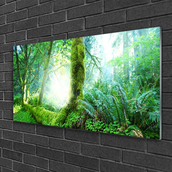 Quadro di vetro Foresta Muschio Natura 100x50 cm 2 appendini