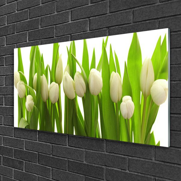 Quadro su vetro Tulipani Fiori Pianta 100x50 cm 2 appendini
