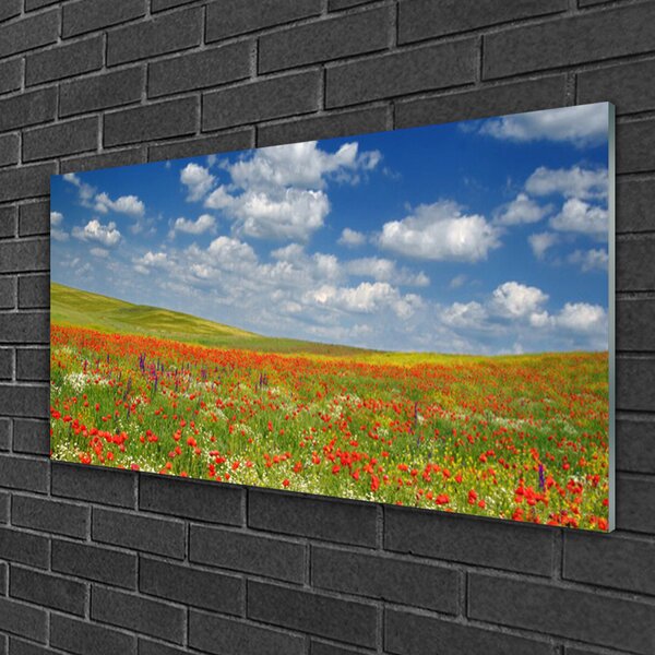 Quadro vetro Prato Fiori Paesaggio 100x50 cm 2 appendini