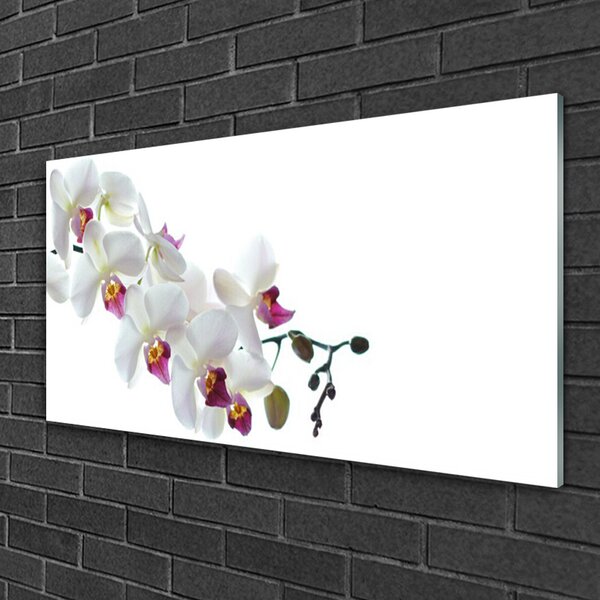 Quadro vetro Fiori Pianta naturale 100x50 cm 2 appendini