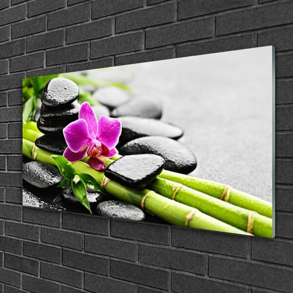 Quadro in vetro Pietre di fiori di bambù Arte 100x50 cm 2 appendini