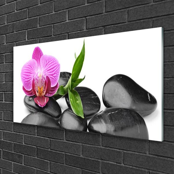 Quadro di vetro Pietre di fiori d'arte 100x50 cm 2 appendini