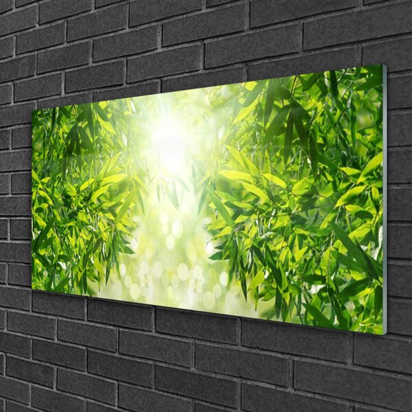 Quadro vetro Foglia Natura Pianta 100x50 cm 2 appendini