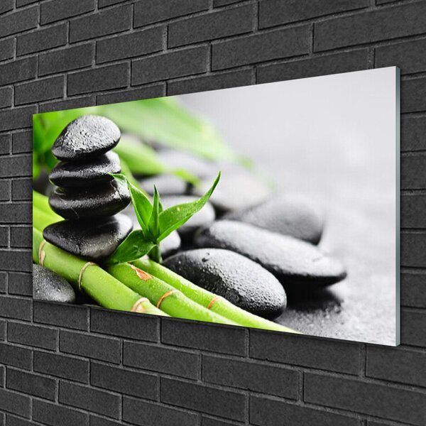 Quadro di vetro Pianta di bambù 100x50 cm 2 appendini