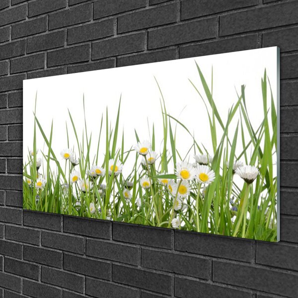 Quadro su vetro Erba margherita Natura 100x50 cm 2 appendini