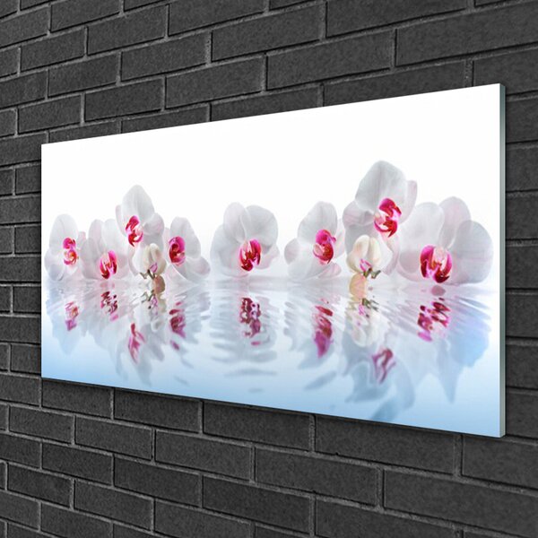 Quadro di vetro Fiori Pianta Natura Arte 100x50 cm 2 appendini