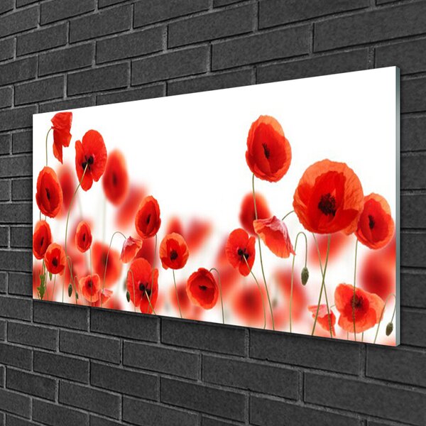 Quadro in vetro Papaveri Pianta Naturale 100x50 cm 2 appendini