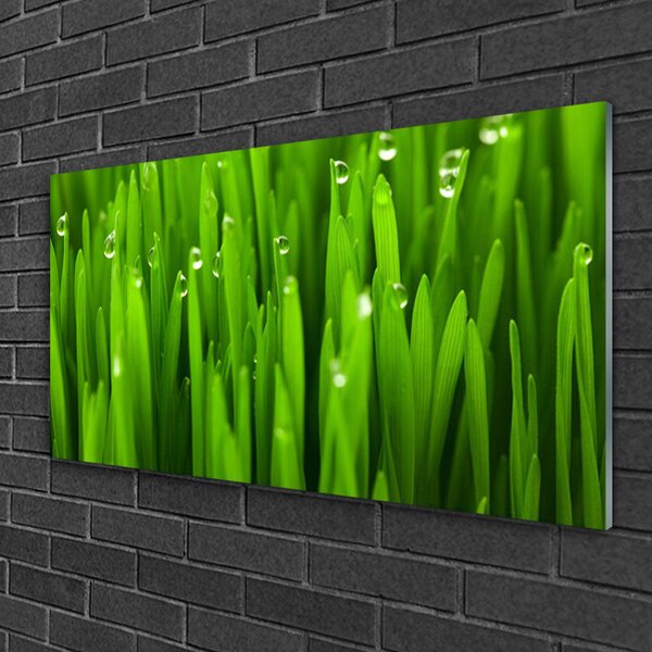 Quadro vetro Erba Natura Pianta 100x50 cm 2 appendini