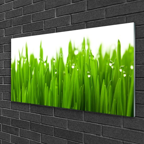 Quadro di vetro Erba Natura Pianta 100x50 cm 2 appendini