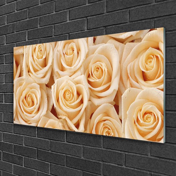 Quadro di vetro Rose Fiori Pianta 100x50 cm 2 appendini