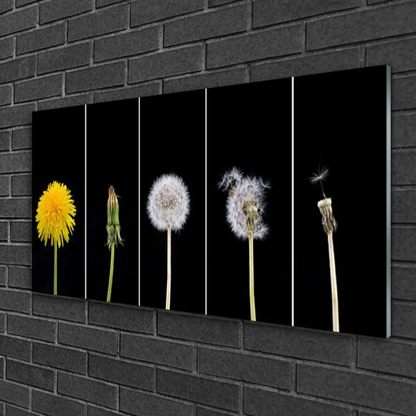 Quadro su vetro Pianta di dente di leone 100x50 cm 2 appendini