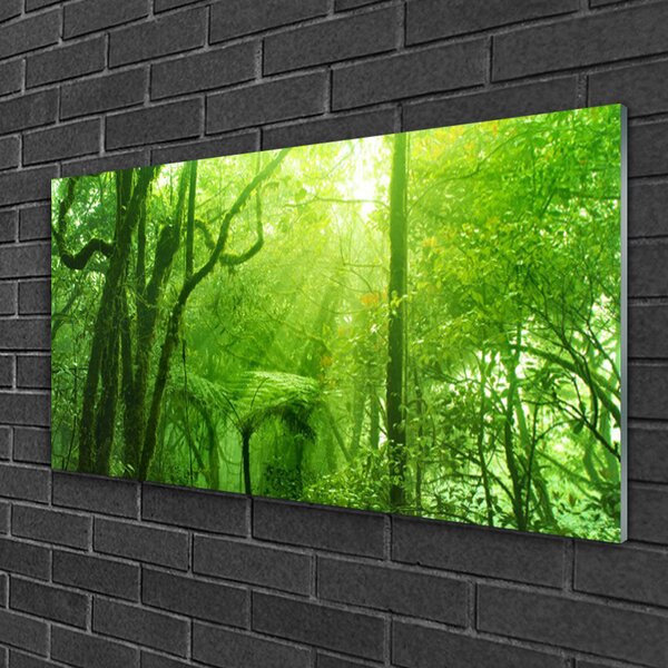 Quadro vetro Alberi della natura 100x50 cm 2 appendini