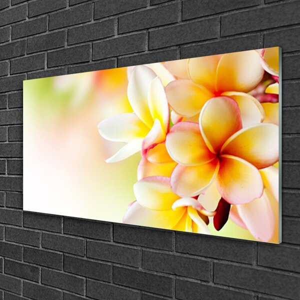Quadro in vetro Fiori Pianta naturale 100x50 cm 2 appendini