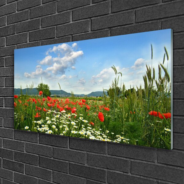 Quadro in vetro Prato Fiori Natura Pianta 100x50 cm 2 appendini