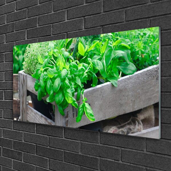 Quadro di vetro Foglia Natura Pianta 100x50 cm 2 appendini