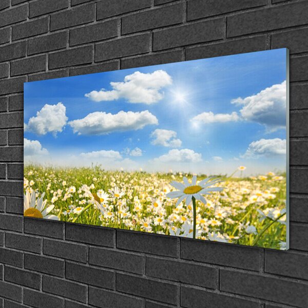 Quadro in vetro Daisy Meadow Natura 100x50 cm 2 appendini