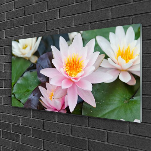 Quadro in vetro Fiori Pianta naturale 100x50 cm 2 appendini