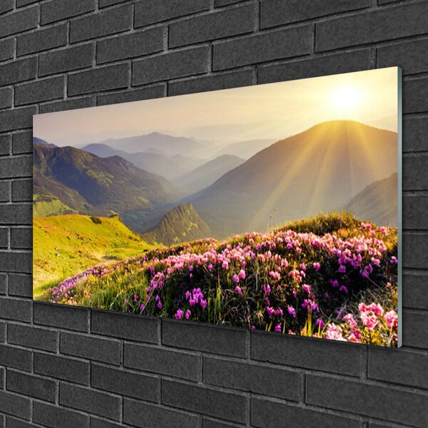 Quadro in vetro Paesaggio dei prati di montagna 100x50 cm 2 appendini