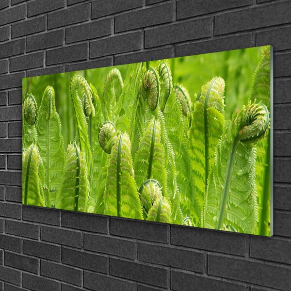 Quadro vetro Pianta Natura 100x50 cm 2 appendini