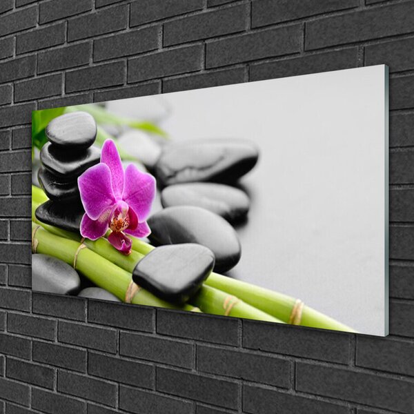 Quadro vetro Pietre di fiori di bambù Arte 100x50 cm 2 appendini
