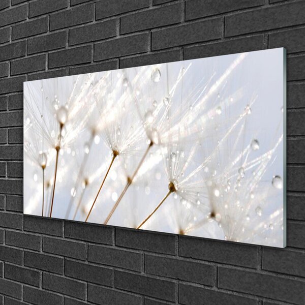 Quadro su vetro Pianta di dente di leone 100x50 cm 2 appendini