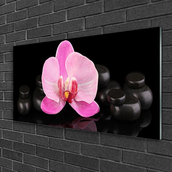 Quadro su vetro Pietre da fiore Pianta 100x50 cm 2 appendini