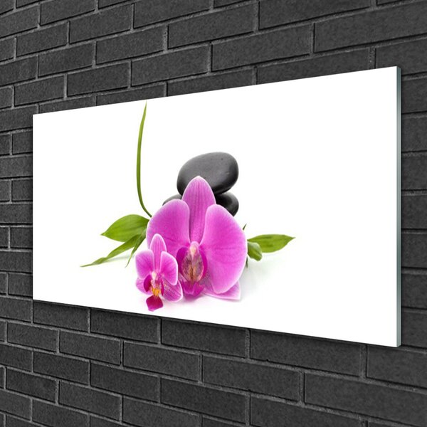 Quadro vetro Pietre da fiore Pianta 100x50 cm 2 appendini