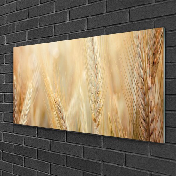 Quadro su vetro Grano Natura Pianta 100x50 cm 2 appendini