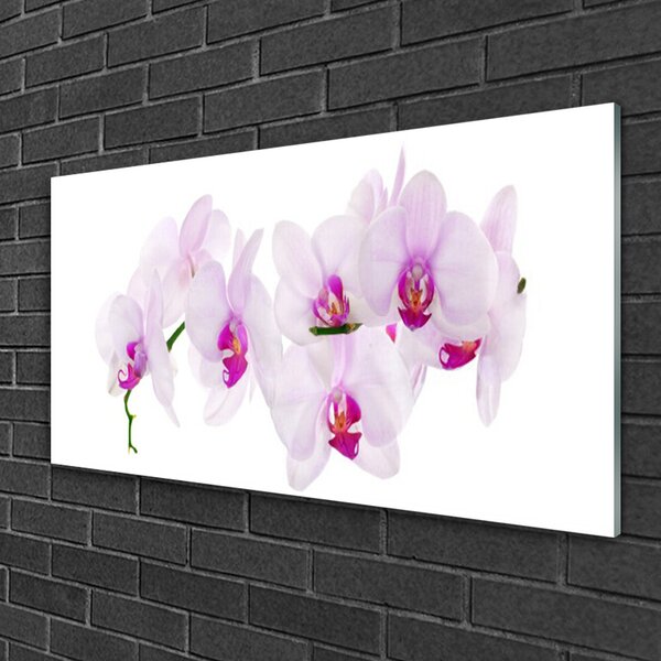 Quadro in vetro Fiori Pianta naturale 100x50 cm 2 appendini