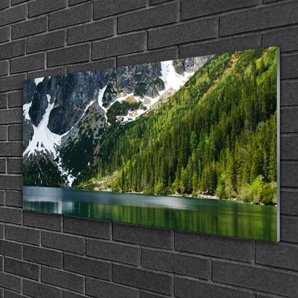 Quadro vetro Lago Foresta Montagne Paesaggio 100x50 cm 2 appendini