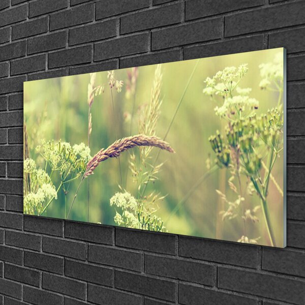 Quadro in vetro Piante selvatiche Natura 100x50 cm 2 appendini