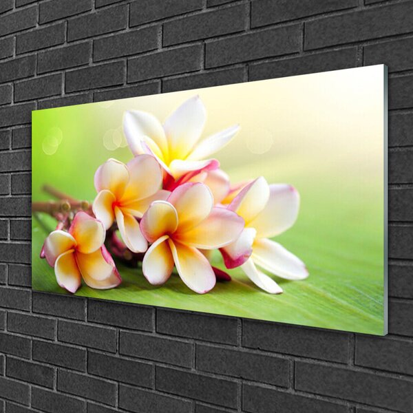Quadro su vetro Fiori Pianta naturale 100x50 cm 2 appendini