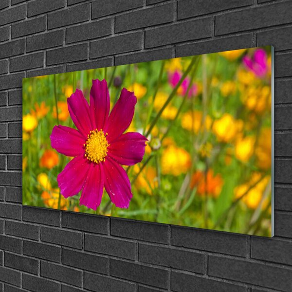 Quadro vetro Fiore Pianta naturale 100x50 cm 2 appendini