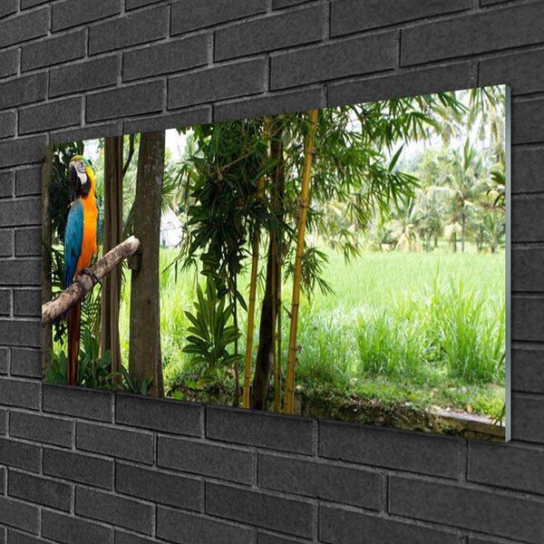 Quadro su vetro Albero dei pappagalli Natura 100x50 cm 2 appendini