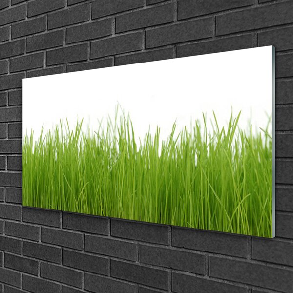 Quadro di vetro Erba Pianta Natura 100x50 cm 2 appendini