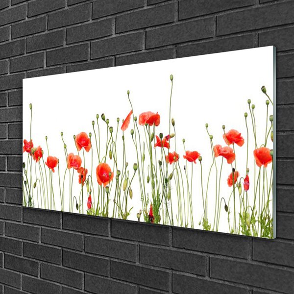 Quadro in vetro Papaveri Pianta Naturale 100x50 cm 2 appendini
