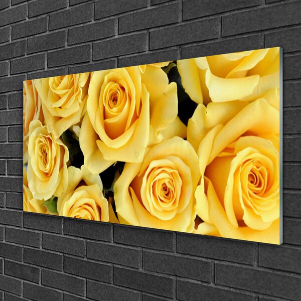Quadro in vetro Rose Fiori Pianta 100x50 cm 2 appendini